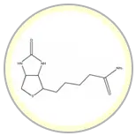 Biotin